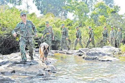 Xuân trên chốt tuần tra