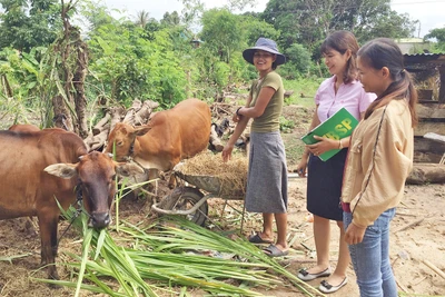 "Cần câu" cho hộ mới thoát nghèo