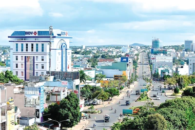 Triển khai Đề án "Xây dựng TP. Pleiku theo hướng đô thị thông minh"