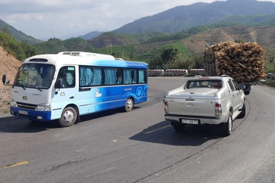 Tuyến cao tốc Buôn Ma Thuột - Nha Trang: Kết nối kinh tế "rừng - biển"