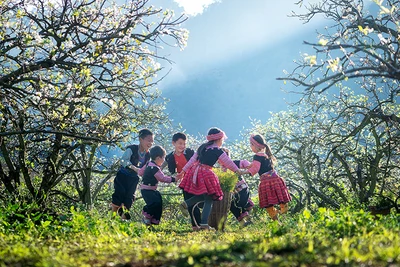 Mùa hoa Vân Hồ