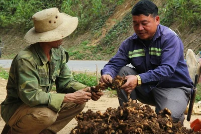 Chàng trai làm thay đổi cuộc sống của người dân