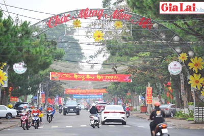 Gia Lai rộn ràng ngày cuối năm