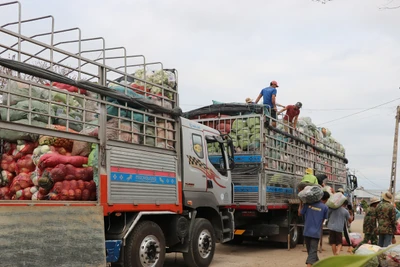 Gia Lai: Người dân trở lại với công việc thường nhật sau 3 ngày Tết