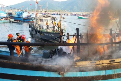 Sáng Mùng 3 Tết, cháy tàu cá liên hoàn ở âu thuyền Thọ Quang, thiệt hại khoảng 14 tỉ đồng