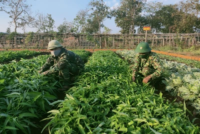 Tiểu đoàn Huấn luyện-Cơ động sẵn sàng đón nhận chiến sĩ mới