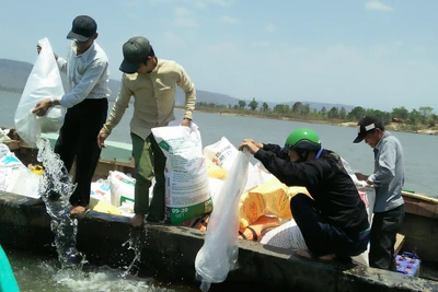 Thả 4 tấn cá giống ra hồ thủy lợi Ayun Hạ