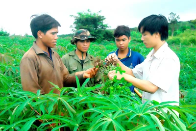 Thay đổi nếp nghĩ, cách làm trong đồng bào dân tộc thiểu số