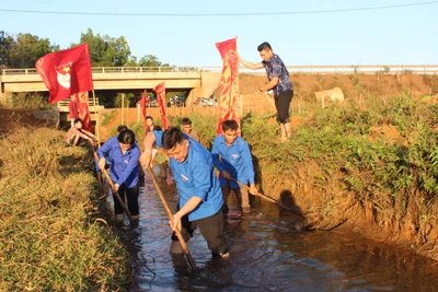 Tuổi trẻ Gia Lai chung sức xây dựng nông thôn mới