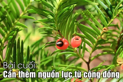 Lâm Đồng nỗ lực bảo tồn đa dạng sinh học (bài cuối)