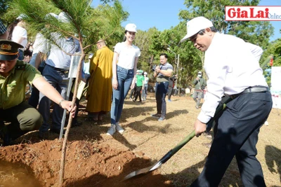 Phát động trồng cây "Vì một Việt Nam xanh"