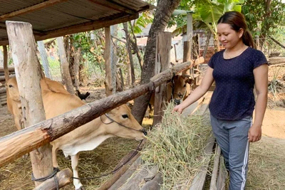 Ia Pa: "Đòn bẩy" thúc đẩy phát triển kinh tế gia đình