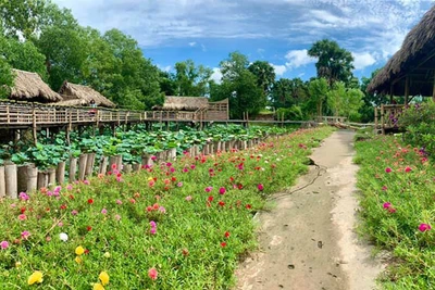 Du lịch cây nhà lá vườn