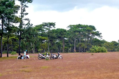 Chuyển mục đích hơn 34 ha đất để thực hiện dự án tại Đak Đoa