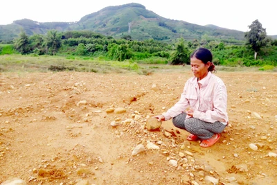 Sống khổ trên… mỏ vàng