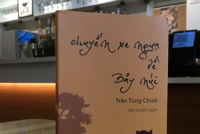 Chuyến xe ngựa về Bảy Núi