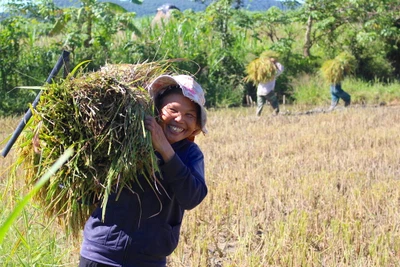 "Cần câu" của người nghèo