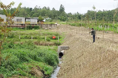 Xử lý ô nhiễm môi trường khu vực Nhà máy Đường An Khê