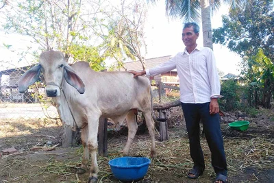 Những điển hình làm kinh tế giỏi ở Plei Toan