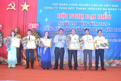 Cao su Mang Yang phấn đấu tổng doanh thu đạt hơn 168 tỷ đồng