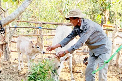 Rơ Châm Hneoh: Bí thư miệng nói tay làm