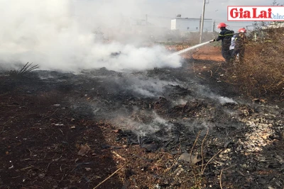 Liên tiếp xảy ra 2 vụ cháy do đốt rác tại thành phố Pleiku