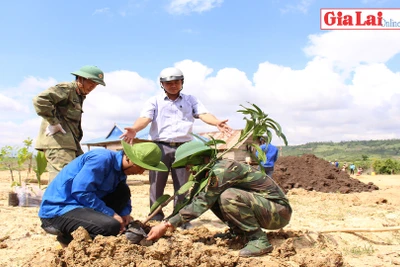 Tuổi trẻ huyện Phú Thiện chung tay xây dựng làng nông thôn mới