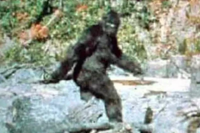 Quái vật Bigfoot nắm giữ bí ẩn về nguồn gốc con người?