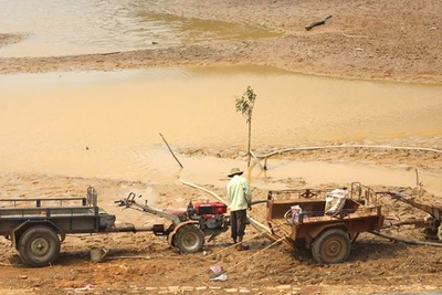 Tây Nguyên căng sức chống hạn