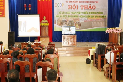 Chư Pưh: Phó Giáo sư, tiến sĩ Trần Văn Ơn tư vấn giải pháp phát triển OCOP