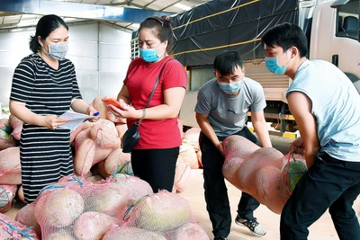 Gia Lai chung tay hỗ trợ TP. Hồ Chí Minh vượt qua đại dịch