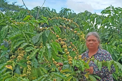 Ia Grai đẩy mạnh phong trào "Tuổi cao-gương sáng"