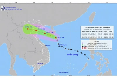 Biển Đông lại có áp thấp nhiệt đới, Bắc Bộ và Bắc Trung Bộ mưa rất to