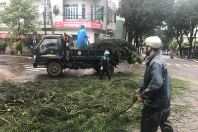 Gia Lai: Chủ động ứng phó thời tiết cực đoan