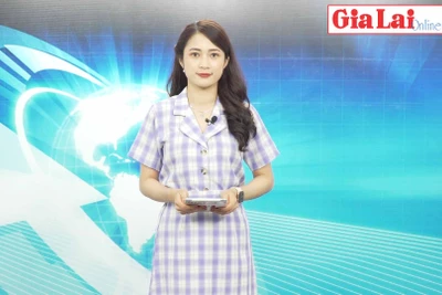 Gia Lai 48h: Hơn 20 tấn lương thực, rau củ quả hỗ trợ TP. Hồ Chí Minh