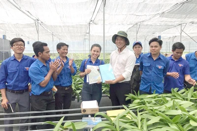 Thanh niên dân tộc thiểu số Tây Nguyên lập nghiệp, làm giàu-Bài 2: Rất cần sự hỗ trợ