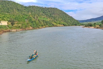 Một thời cá đá sông Ba