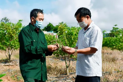 Cựu chiến binh Kông Chro làm kinh tế giỏi