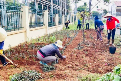 Pleiku: Hơn 264 mô hình, phong trào phụ nữ bảo vệ môi trường