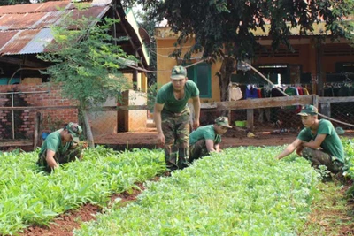 Tiểu đoàn Huấn luyện-Cơ động "Thực túc binh cường"