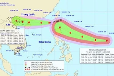 Công điện khẩn về ứng phó với cơn bão số 5