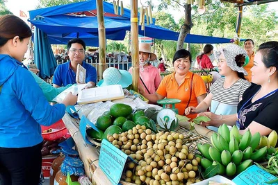 Kbang: Xây dựng thương hiệu nông-lâm sản