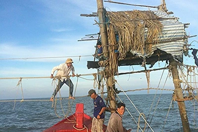 Những "tổ chim" bên đáy hàng khơi