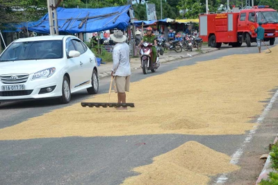 Phơi lúa trước cổng Bệnh viện Đa khoa Ayun Pa cản trở giao thông