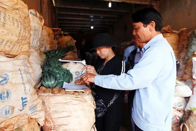 Chuyển hàng trăm tấn khoai Trung Quốc ra khỏi chợ nông sản Đà Lạt