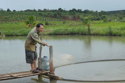 Cựu chiến binh Ia Chía thi đua sản xuất, kinh doanh giỏi