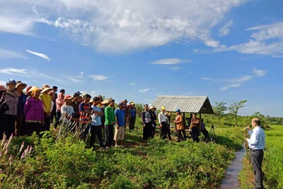 Vận động hội viên phụ nữ tham gia "cánh đồng lớn"