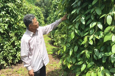 Tỷ phú cựu chiến binh "nói đi đôi với làm"