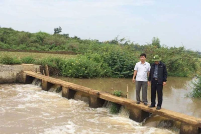 Đak Đoa: Chú trọng duy tu, sửa chữa công trình thủy lợi