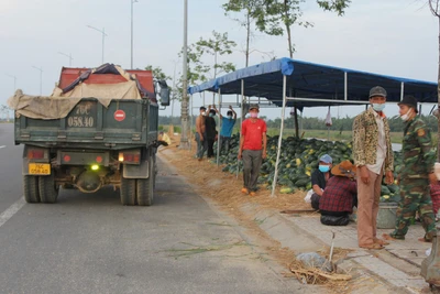 Lênh đênh phận dưa, đời người